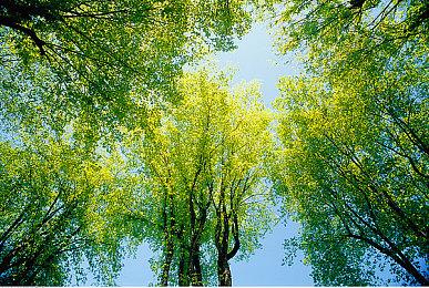 《塔罗斯的法则2》实机演示 年内发售